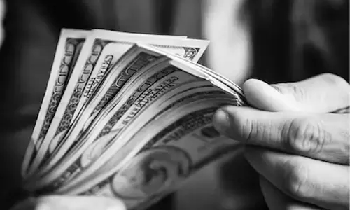 ಅಮೆರಿಕದ ಮಹಿಳೆಗೆ 4 ಲಕ್ಷ ಡಾಲರ್ ವಂಚಿಸಿದ ದೆಹಲಿಯ ವ್ಯಕ್ತಿ!