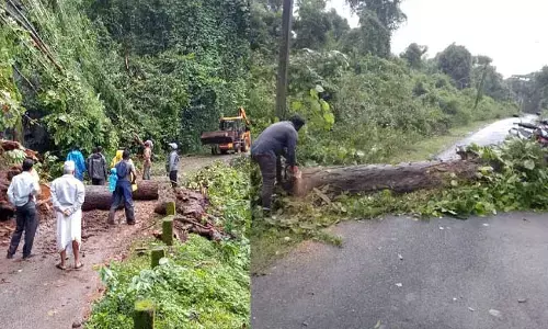 ಕೊಡಗು: ಗಾಳಿಯ ರಭಸಕ್ಕೆ ಧರೆಗುರುಳಿದ ಬರೆ, ಮರಗಳು
