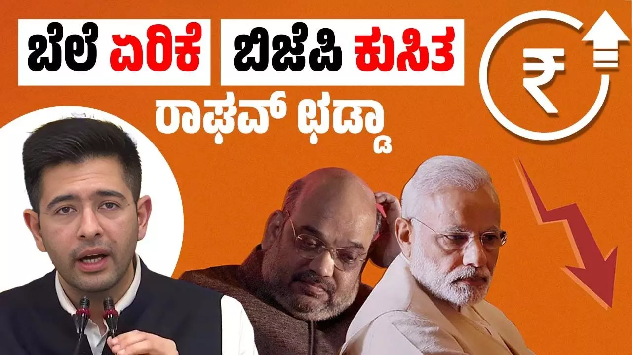 ಇಂಗ್ಲೆಂಡ್ ನ ತೆರಿಗೆ, ಆಫ್ರಿಕಾದ ಸವಲತ್ತು: ರಾಜ್ಯಸಭೆಯಲ್ಲಿ ಅಗತ್ಯ ವಸ್ತುಗಳ ಬೆಲೆ ಏರಿಕೆಯ ಪಟ್ಟಿ ಹೇಳಿದ ರಾಘವ್ ಛಡ್ಡಾ