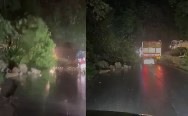 ಚಾರ್ಮಾಡಿ ಘಾಟ್ | ರಸ್ತೆಗೆ ಬಿದ್ದ ಮರ, ಸಂಚಾರ ತಾತ್ಕಾಲಿಕ ಸ್ಥಗಿತ