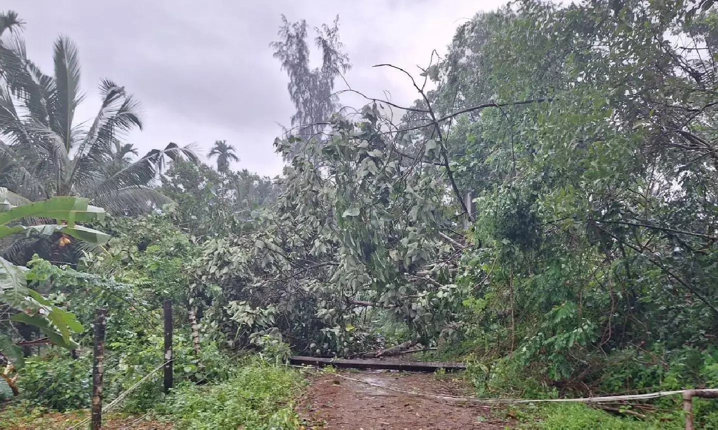 ಉಪ್ಪಿನಂಗಡಿ: ಭಾರೀ ಬಿರುಗಾಳಿಗೆ ಹಲವು ಮನೆಗಳಿಗೆ ಹಾನಿ