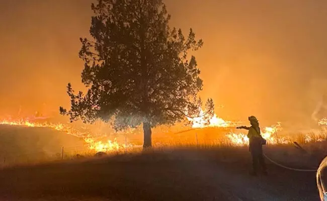 ಅಮೆರಿಕ | 1 ದಶಲಕ್ಷ ಎಕರೆ ಪ್ರದೇಶ ಸುಟ್ಟುಹಾಕಿದ ಕಾಡ್ಗಿಚ್ಚು ಅಮೆರಿಕ | 1 ದಶಲಕ್ಷ ಎಕರೆ ಪ್ರದೇಶ ಸುಟ್ಟುಹಾಕಿದ ಕಾಡ್ಗಿಚ್ಚು