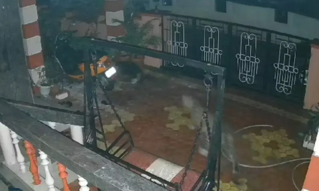 ಮಣಿಪಾಲ| ಪೆರಂಪಳ್ಳಿ ಮನೆಯ ಆವರಣದೊಳಗೆ ಚಿರತೆ ಪ್ರತ್ಯಕ್ಷ