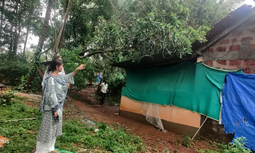 ಕುಂದಾಪುರ: ಗಾಳಿ ಮಳೆಗೆ ವ್ಯಾಪಕ ಹಾನಿ