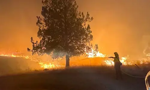 ಅಮೆರಿಕ | 1 ದಶಲಕ್ಷ ಎಕರೆ ಪ್ರದೇಶ ಸುಟ್ಟುಹಾಕಿದ ಕಾಡ್ಗಿಚ್ಚು