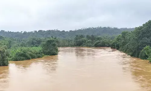 ಚಿಕ್ಕಮಗಳೂರಿನಲ್ಲಿ ಕ್ಷೀಣಿಸಿದ ಮಳೆ; ಹೆಚ್ಚಿದ ಬಿರುಗಾಳಿ ಆರ್ಭಟ