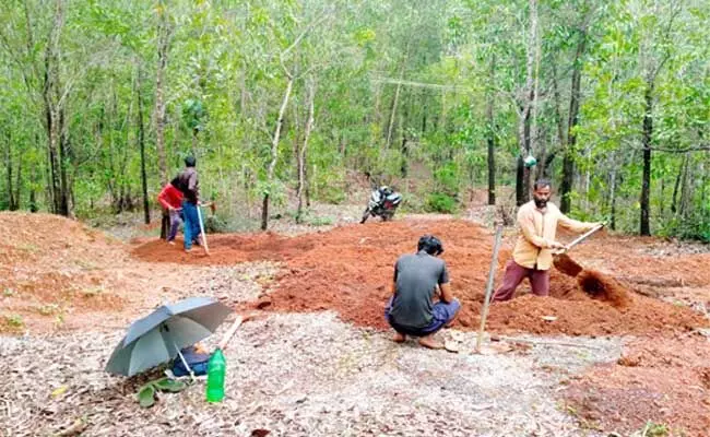 ಎಂಜಿನರೇಗಾ: ಪುತ್ತೂರು ತಾಲೂಕು ಶೇ.99 ಗುರಿ ಸಾಧನೆ