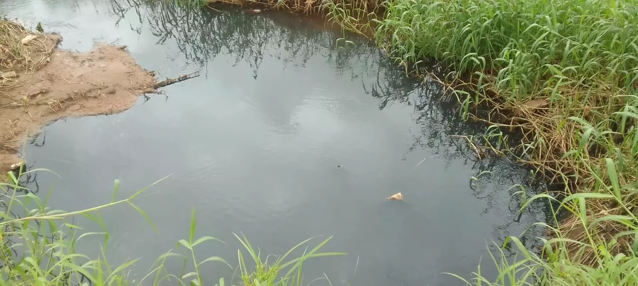 ಬೈಕಂಪಾಡಿ | ಫಲ್ಗುಣಿಗೆ ಮತ್ತೆ ಕಲುಷಿತ ನೀರು ಬಿಡುತ್ತಿರುವ ಪತಂಜಲಿ ಫುಡ್ಸ್ ರುಚಿ ಸೋಯಾ ಘಟಕ: ಆರೋಪ ಬೈಕಂಪಾಡಿ | ಫಲ್ಗುಣಿಗೆ ಮತ್ತೆ ಕಲುಷಿತ ನೀರು ಬಿಡುತ್ತಿರುವ ಪತಂಜಲಿ ಫುಡ್ಸ್ ರುಚಿ ಸೋಯಾ ಘಟಕ: ಆರೋಪ