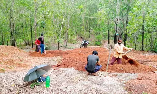 ಎಂಜಿನರೇಗಾ: ಪುತ್ತೂರು ತಾಲೂಕು ಶೇ.99 ಗುರಿ ಸಾಧನೆ