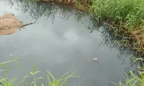 ಬೈಕಂಪಾಡಿ | ಫಲ್ಗುಣಿಗೆ ಮತ್ತೆ ಕಲುಷಿತ ನೀರು ಬಿಡುತ್ತಿರುವ ಪತಂಜಲಿ ಫುಡ್ಸ್ ರುಚಿ ಸೋಯಾ ಘಟಕ: ಆರೋಪ