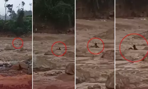 ವಯನಾಡ್ ಭೂಕುಸಿತ: ಗಂಟೆಗಟ್ಟಲೆ ಕೆಸರಿನಲ್ಲಿ ಸಿಲುಕಿಕೊಂಡ ವ್ಯಕ್ತಿ; ಮನಕಲಕುವ ವಿಡಿಯೋ ವೈರಲ್