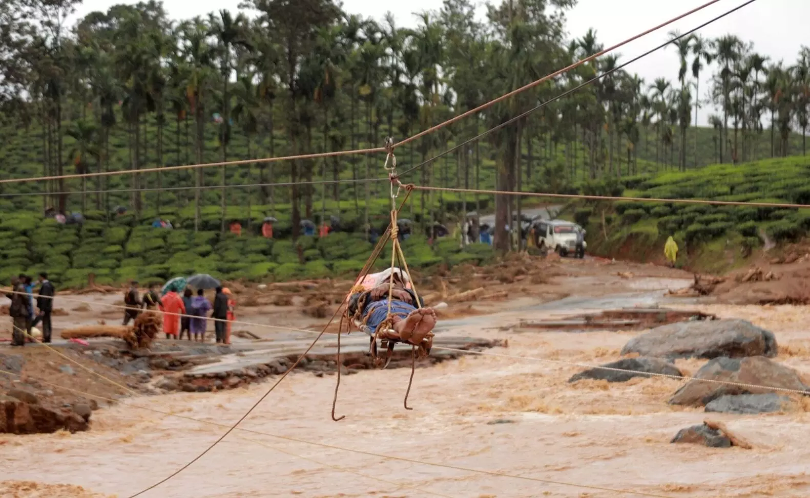 ವಯನಾಡ್ ಭೂಕುಸಿತದಲ್ಲಿ ಮೃತಪಟ್ಟವರ ಸಂಖ್ಯೆ 156ಕ್ಕೆ ಏರಿಕೆ