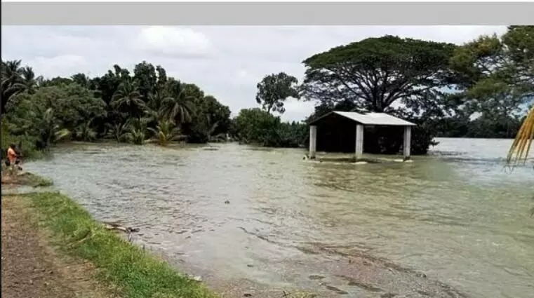 ಮಂಡ್ಯ | ಮುಂದುವರಿದ ಮಳೆ : ಕಾವೇರಿ ಜಲಾನಯನ ಪ್ರದೇಶದಲ್ಲಿರುವ ತೋಟ, ಕೃಷಿ ಭೂಮಿ ಜಲಾವೃತ