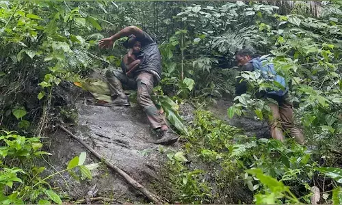 ವಯನಾಡ್ | ಬೆಟ್ಟದ ತುದಿಯ ಗುಹೆಯಿಂದ 6 ಬುಡಕಟ್ಟು ಜನರ ರಕ್ಷಣೆ ; ಅರಣ್ಯ ಇಲಾಖೆ ಸಿಬ್ಬಂದಿಯಿಂದ ಸಾಹಸಮಯ ಕಾರ್ಯಾಚರಣೆ