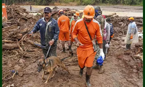 ವಯನಾಡ್ ಭೂಕುಸಿತ | ಚಾಲಿಯಾರ್ ನದಿ ತಪ್ಪಲಿನಲ್ಲಿ ಮುಂದುವರಿದ ಶೋಧ ಕಾರ್ಯಾಚರಣೆ