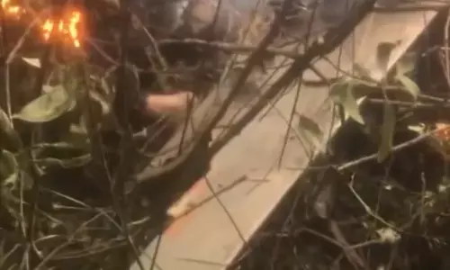 ನೇಪಾಳದಲ್ಲಿ ಹೆಲಿಕಾಪ್ಟರ್‌ ಪತನ: 4 ಚೀನೀ ಪ್ರವಾಸಿಗರು ಸೇರಿದಂತೆ 5 ಮಂದಿ ಸಾವು