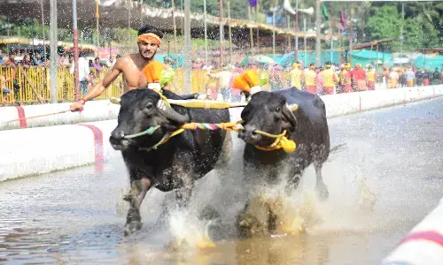ಬೆಂಗಳೂರು ಕಂಬಳ ವಿರುದ್ಧ ಪೇಟಾ ಸಲ್ಲಿಸಿದ್ದ ಅರ್ಜಿ ವಿಚಾರಣೆ ಅ.23ಕ್ಕೆ ಮುಂದೂಡಿದ ಹೈಕೋರ್ಟ್