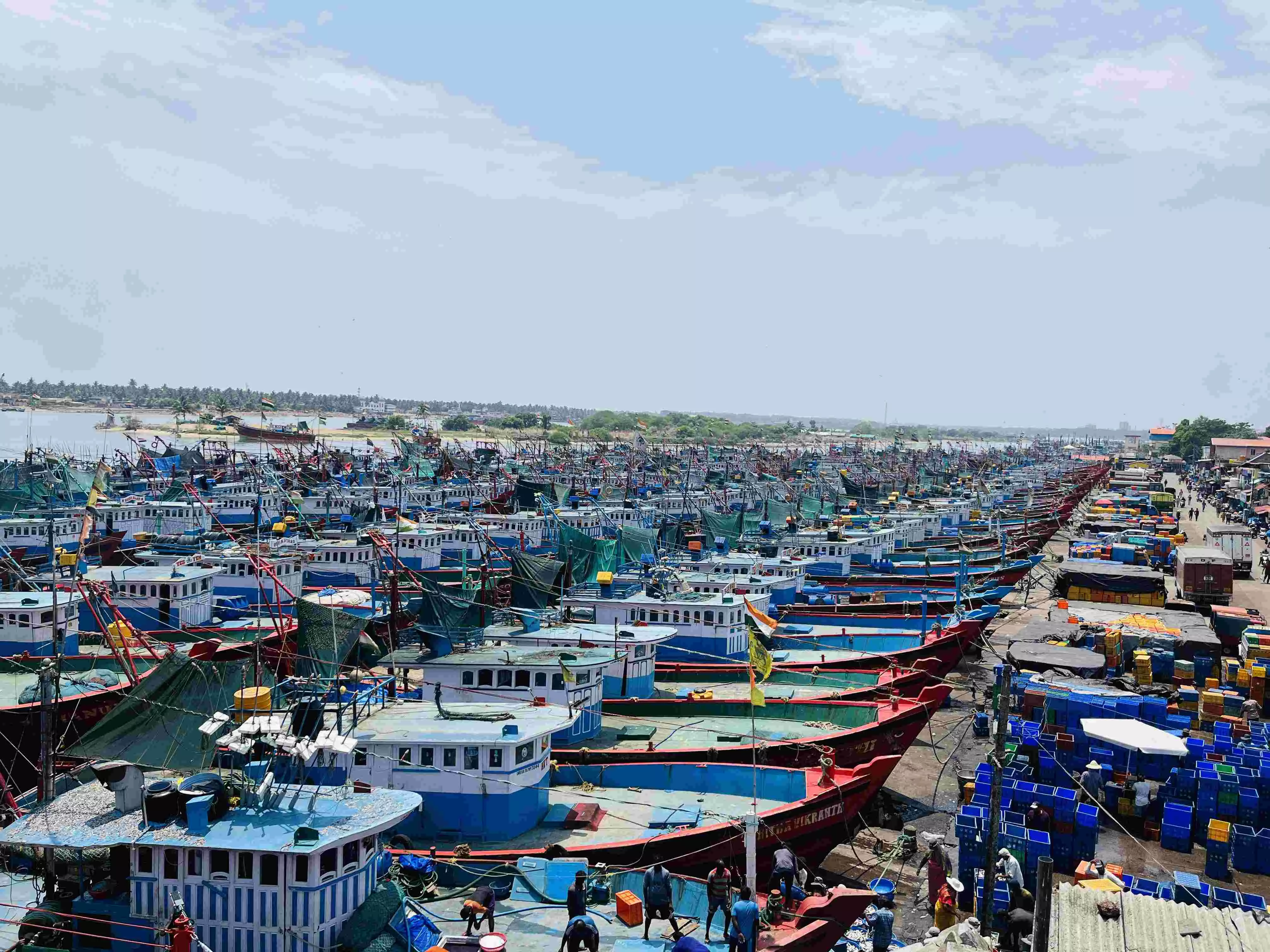 ಮಂಗಳೂರು ಮೀನುಗಾರಿಕಾ ಬಂದರು ಅಭಿವೃದ್ಧಿಗೆ ಕ್ರಮ: ರೇವತಿ ಮಂಗಳೂರು ಮೀನುಗಾರಿಕಾ ಬಂದರು ಅಭಿವೃದ್ಧಿಗೆ ಕ್ರಮ: ರೇವತಿ