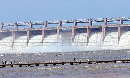 ತುಂಗಭದ್ರಾ ಅಣೆಕಟ್ಟು ಗೇಟ್ ಅವಘಡ: ಭತ್ತ ಬೆಳೆಗಾರರಿಗೆ ವಿಶೇಷ ಪ್ಯಾಕೇಜ್ ಘೋಷಿಸಲು ರೈತರ ಒತ್ತಾಯ