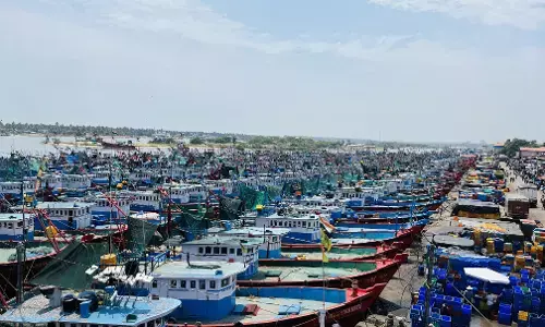 ಮಂಗಳೂರು ಮೀನುಗಾರಿಕಾ ಬಂದರು ಅಭಿವೃದ್ಧಿಗೆ ಕ್ರಮ: ರೇವತಿ