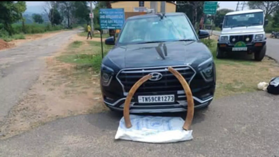 ಹನೂರು | ಆನೆ ದಂತ ಸಾಗಾಟ ಮಾಡುತ್ತಿದ್ದ ಮೂವರ ಬಂಧನ