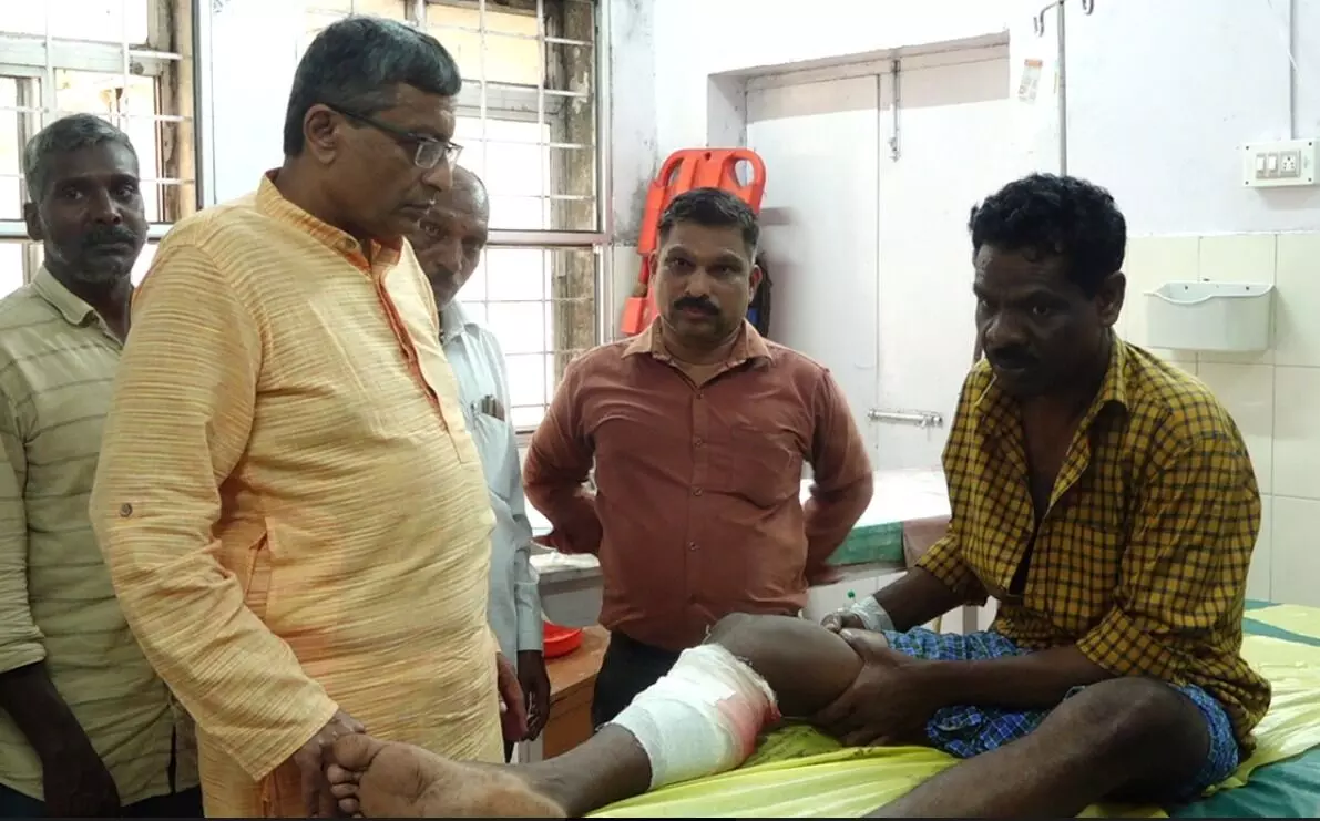 ಮಡಿಕೇರಿ | ಕಾಡುಕೋಣ ದಾಳಿ : ವ್ಯಕ್ತಿಗೆ ಗಂಭೀರ ಗಾಯ