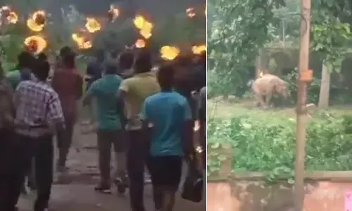 ಗ್ರಾಮಸ್ಥರು ಎಸೆದ ಬೆಂಕಿ ಚೆಂಡು, ಮೊಳೆಯುಕ್ತ ರಾಡ್ ತಗುಲಿ ಆನೆ ಸಾವು