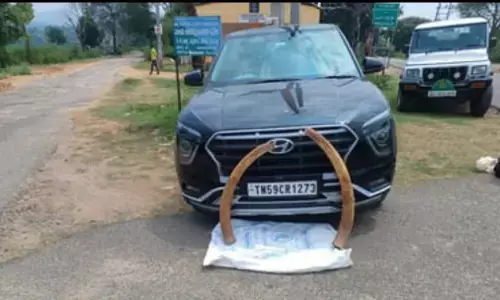 ಹನೂರು | ಆನೆ ದಂತ ಸಾಗಾಟ ಮಾಡುತ್ತಿದ್ದ ಮೂವರ ಬಂಧನ