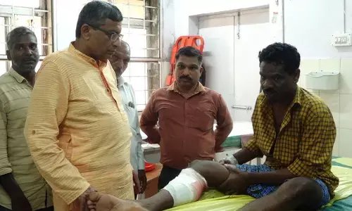 ಮಡಿಕೇರಿ | ಕಾಡುಕೋಣ ದಾಳಿ : ವ್ಯಕ್ತಿಗೆ ಗಂಭೀರ ಗಾಯ