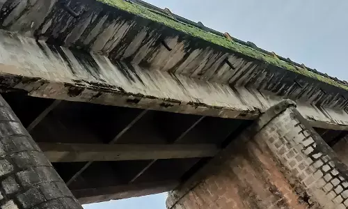 ಸೇತುವೆ ಸಂಚಾರ ನಿರ್ಬಂಧ ತೆರವು| ತಾಂತ್ರಿಕ ಪರಿಶೀಲನೆ ಬಳಿಕ ನಿರ್ಧಾರ: ದ.ಕ. ಜಿಲ್ಲಾಧಿಕಾರಿ ಮುಲ್ಲೈ ಮಗಿಲನ್