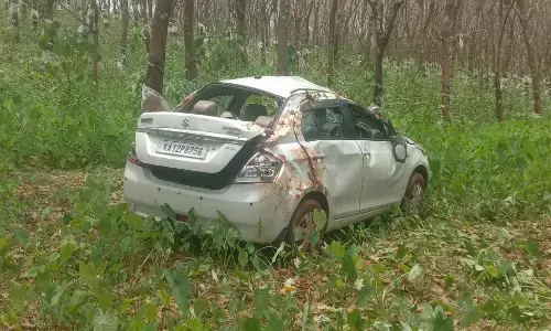 ಸುಳ್ಯ| ನಿಯಂತ್ರಣ ತಪ್ಪಿ ಪಲ್ಟಿಯಾದ ಕಾರು: ಚಾಲಕ ಮೃತ್ಯು