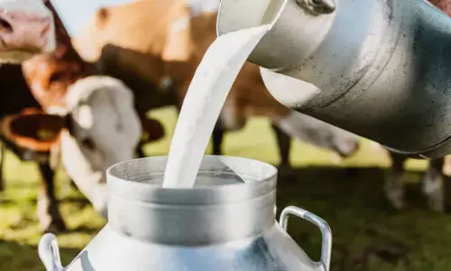 ಎ1 & ಎ2 ಹಾಲಿನ ಲೇಬಲ್ ಸ್ಥಗಿತಕ್ಕೆ ಎಫ್ ಎಸ್ ಎಸ್ ಎಐ ಸೂಚನೆ