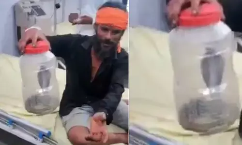 ಇದೇ ಹಾವು ಕಚ್ಚಿದ್ದು, ಬೇಗ ಚಿಕಿತ್ಸೆ ನೀಡಿ: ತನಗೆ ಕಚ್ಚಿದ ಹಾವನ್ನೇ ಹಿಡಿದುಕೊಂಡು ಚಿಕಿತ್ಸೆಗಾಗಿ ಆಸ್ಪತ್ರೆಗೆ ಬಂದ ವ್ಯಕ್ತಿ!