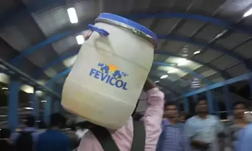 ಫೆವಿಕಾಲ್ ಟ್ರೇಡ್‍ಮಾರ್ಕ್ ಉಲ್ಲಂಘನೆ ಆರೋಪ: ಸ್ಟೇಷನರಿ ಕಂಪನಿಗೆ 50 ಲಕ್ಷ ದಂಡ