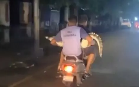 ಗುಜರಾತ್ ಪ್ರವಾಹ: ಸ್ಕೂಟರ್‌ನಲ್ಲಿ ಮೊಸಳೆಯನ್ನು ಹೊತ್ತೊಯ್ದ ಐಎಂಎ ಸ್ವಯಂಸೇವಕರು; ವಿಡಿಯೋ ವೈರಲ್