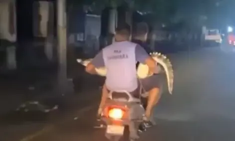 ಗುಜರಾತ್ ಪ್ರವಾಹ: ಸ್ಕೂಟರ್‌ನಲ್ಲಿ ಮೊಸಳೆಯನ್ನು ಹೊತ್ತೊಯ್ದ ಐಎಂಎ ಸ್ವಯಂಸೇವಕರು; ವಿಡಿಯೋ ವೈರಲ್