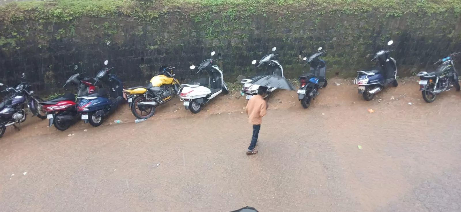 ಕೊಡಗು ಜಿಲ್ಲೆಯಾದ್ಯಂತ ಉತ್ತಮ ಮಳೆ ಕೊಡಗು ಜಿಲ್ಲೆಯಾದ್ಯಂತ ಉತ್ತಮ ಮಳೆ