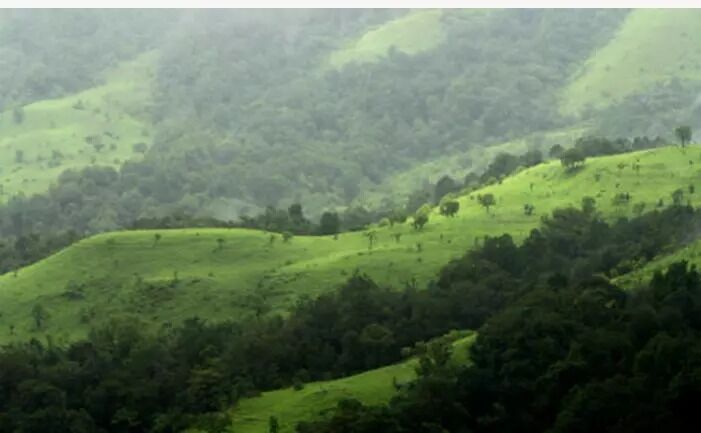 ಪಶ್ಚಿಮಘಟ್ಟ ಪ್ರದೇಶದ ಅಕ್ರಮ ಹೋಮ್ ಸ್ಟೇ, ರೆಸಾರ್ಟ್‍ಗಳ ತೆರವಿಗೆ ನೋಟಿಸ್ ಜಾರಿ