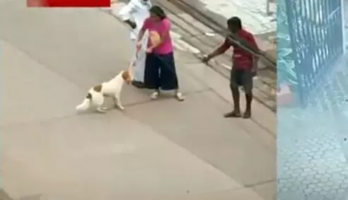 ಮಂಗಳೂರು: ಸಾಕುನಾಯಿಯನ್ನು ತ್ಯಾಜ್ಯ ವಿಲೇವಾರಿ ವಾಹನಕ್ಕೆ ನೀಡಿದ ಮನೆಮಂದಿ!