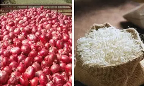 ರೈತರ ಆದಾಯ ಹೆಚ್ಚಿಸಲು ಈರುಳ್ಳಿ, ಬಾಸ್ಮತಿ ಅಕ್ಕಿಯ ಮೇಲಿನ ಕನಿಷ್ಠ ರಫ್ತು ದರ ಮಿತಿ ರದ್ದುಗೊಳಿಸಿದ ಕೇಂದ್ರ