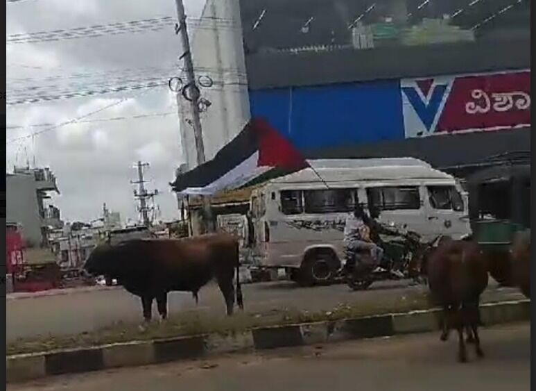 ಚಿಕ್ಕಮಗಳೂರು | ಬೈಕ್‍ನಲ್ಲಿ ಫೆಲೆಸ್ತೀನ್ ಧ್ವಜ ಹಿಡಿದು ಸಂಚರಿಸಿದ ಯುವಕರು : ಪೊಲೀಸರಿಗೆ ದೂರು