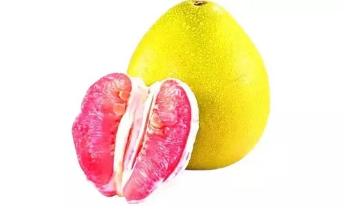 ಹಲವು ಕಾಯಿಲೆಗಳಿಗೆ ದಿವ್ಯೌಷಧ ಚಕ್ಕೋತ