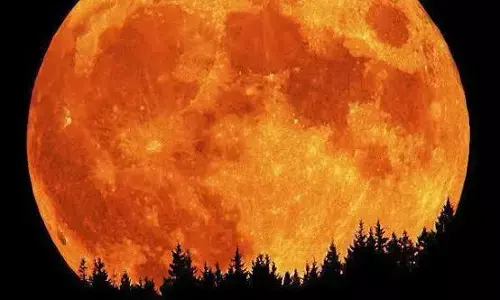 ಬುಧವಾರ ಹುಣ್ಣಿಮೆ ಬೆಳದಿಂಗಳು ಹಾಲು ಚೆಲ್ಲಿದಂತೆ: ಡಾ.ಎ.ಪಿ.ಭಟ್