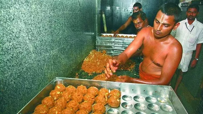 ತಿರುಪತಿ ಲಡ್ಡುವಿನಲ್ಲಿ ದನದ ಕೊಬ್ಬು, ಮೀನಿನ ಎಣ್ಣೆ ಬಳಕೆ ದೃಢ ; ಪ್ರಯೋಗಾಲಯ ವರದಿ