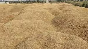 ಅಕ್ರಮ ಮರಳು ಸಾಗಾಟ ಆರೋಪ; ಲಾರಿ ವಶಕ್ಕೆ