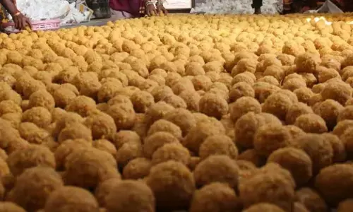 ತಿರುಪತಿ ಲಡ್ಡಿಗೆ ಪ್ರಾಣಿಗಳ ಕೊಬ್ಬು ಬಳಕೆ: ಚಂದ್ರಬಾಬು ನಾಯ್ಡು ಆರೋಪ