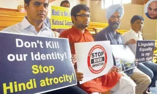 ಹಿಂದಿ-ಹಿಂದೂ-ಹಿಂದುಸ್ಥಾನ: ಸಂಸ್ಕೃತೀಕರಣ ಕಾರ್ಯಸೂಚಿ