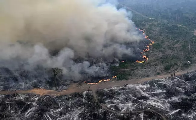 ಜರ್ಮನಿ, ಫ್ರಾನ್ಸ್ ದೇಶಗಳ ಒಟ್ಟು ವಿಸ್ತೀರ್ಣದಷ್ಟು ಅರಣ್ಯ ಪ್ರದೇಶವನ್ನು ಕಳೆದುಕೊಂಡ ಅಮೆಝಾನ್! ಜರ್ಮನಿ, ಫ್ರಾನ್ಸ್ ದೇಶಗಳ ಒಟ್ಟು ವಿಸ್ತೀರ್ಣದಷ್ಟು ಅರಣ್ಯ ಪ್ರದೇಶವನ್ನು ಕಳೆದುಕೊಂಡ ಅಮೆಝಾನ್!