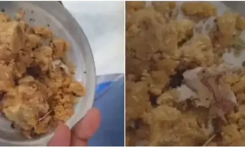 ತಿರುಪತಿ ಲಡ್ಡಿನಲ್ಲಿ ತಂಬಾಕು: ʼಪ್ರಾಣಿಗಳ ಕೊಬ್ಬುʼ ಆರೋಪದ ಬೆನ್ನಲ್ಲೇ ಮತ್ತೆ ವಿವಾದ