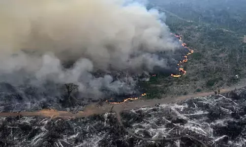 ಜರ್ಮನಿ, ಫ್ರಾನ್ಸ್ ದೇಶಗಳ ಒಟ್ಟು ವಿಸ್ತೀರ್ಣದಷ್ಟು ಅರಣ್ಯ ಪ್ರದೇಶವನ್ನು ಕಳೆದುಕೊಂಡ ಅಮೆಝಾನ್!